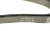 Ремень генератора MB W202/203/VW/Audi 2.4/2.8i DAYCO 6PK1760 (фото 4)