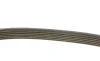 Ремінь генератора MB W202/210 M111/Ford Transit 2.301-06 DAYCO 6PK1775 (фото 3)