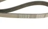 Ремінь генератора MB W202/210 M111/Ford Transit 2.301-06 DAYCO 6PK1775 (фото 5)