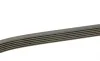 Ремінь генератора Toyota Corolla 00-02 DAYCO 6PK1820 (фото 2)