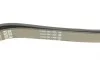 Ремінь генератора Toyota Corolla 00-02 DAYCO 6PK1820 (фото 4)