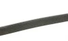 Ремінь генератора MB C-class (W202) 2.0 95-01 DAYCO 6PK1865 (фото 2)