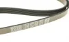 Ремінь генератора MB C-class (W202) 2.0 95-01 DAYCO 6PK1865 (фото 4)