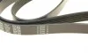 Ремень генератора VW Passat/Audi A4 2.4/2.6/2.8 95- DAYCO 6PK1880 (фото 4)