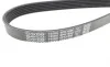 Ремень генератора BMW X5/Ford Focus 1.4/1.6 16V 98- DAYCO 6PK1890 (фото 3)