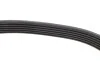 Ремень генератора BMW X5/Ford Focus 1.4/1.6 16V 98- DAYCO 6PK1890 (фото 4)