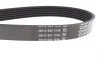 Ремінь генератора Jeep Wrangler 4.0 i 98-07 DAYCO 6PK1910 (фото 2)