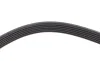Ремінь генератора Jeep Wrangler 4.0 i 98-07 DAYCO 6PK1910 (фото 4)