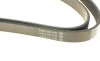 Ремінь генератора Ford Focus 1.4/1.6 16V 98-04 DAYCO 6PK1915 (фото 4)