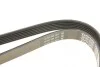 Ремень генератора Audi A8 3.0i 03-06 DAYCO 6PK1930 (фото 4)