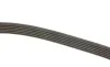Ремінь генератора VW Crafter 2.5TDI (-AC) /MB OM601/602 (+PS) DAYCO 6PK2000 (фото 3)