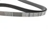 Ремень генератора MB Vito OM601/602 (AC)/ M111 (PS) DAYCO 6PK2013 (фото 3)