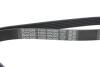 Ремень генератора VW T4 2.4D/2.5 90-03 (PS) DAYCO 6PK2063 (фото 4)