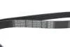 Ремень генератора VW T4 2.4D/2.5 90-03 (PS) DAYCO 6PK2063 (фото 4)