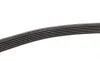 Ремінь генератора Chevrolet Captiva 2.0D 06- DAYCO 6PK2070 (фото 4)