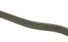 Ремень генератора MB Vario 512D/612D/812D 96- DAYCO 6PK2120HD (фото 2)