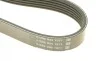 Ремень генератора MB Vario 512D/612D/812D 96- DAYCO 6PK2120HD (фото 3)