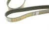 Ремень генератора MB Vario 512D/612D/812D 96- DAYCO 6PK2120HD (фото 4)