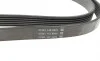 Ремінь генератора MB Vito OM611 (+AC) DAYCO 6PK2170 (фото 3)