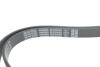 Ремень генератора Mitsubishi Lancer/Outlander 1.8-2.4 09- (6PK2200) DAYCO 6PK2200S (фото 4)