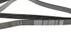 Ремінь генератора MB Sprinter CDI (-AC) DAYCO 6PK2203 (фото 2)