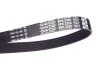 Ремінь генератора MB C-class (W202)/E-class (W211) 2.2CDI/2.7CDI 98-09 DAYCO 6PK2250 (фото 3)