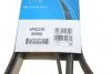 Ремень генератора MB Sprinter CDI (-AC) (с обводным роликом) DAYCO 6PK2255 (фото 6)
