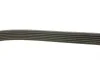 Ремень генератора MB Sprinter CDI (-AC) (с обводным роликом) DAYCO 6PK2263 (фото 2)