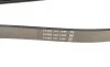 Ремінь генератора Land Rover Discovery III 4.4 04-13 DAYCO 6PK2345 (фото 3)