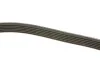 Ремень генератора VW Passat/Audi A4 2.5TDI/3.2FSi 94- DAYCO 6PK2400 (фото 5)
