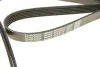 Ремень генератора MB E-class (W124/S124) M104 93-96 DAYCO 6PK2415 (фото 7)