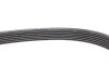 Ремень генератора MB E-class (W211) 02-08 (M113/M104) DAYCO 6PK2440 (фото 4)