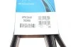 Ремень генератора MB E-class (W211) 02-08 (M113/M104) DAYCO 6PK2440 (фото 6)