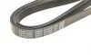 Ремень генератора MB W140/211 M113/119 DAYCO 6PK2460 (фото 5)