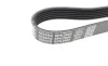 Ремень генератора Jeep Grand Cherokee II 2.7 CRD 01-05 DAYCO 6PK2605 (фото 4)