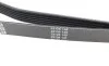 Ремень генератора Jeep Grand Cherokee II 2.7 CRD 01-05 DAYCO 6PK2605 (фото 5)