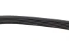 Ремень генератора Jeep Grand Cherokee II 2.7 CRD 01-05 DAYCO 6PK2605 (фото 6)
