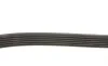 Ремінь генератора Jeep Cherokee/Liberty 2.5/2.8 CRD 01- DAYCO 6PK2870 (фото 2)