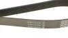 Ремінь генератора Jeep Cherokee/Liberty 2.5/2.8 CRD 01- DAYCO 6PK2870 (фото 4)