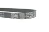 Ремень генератора Audi A1 14-18/Seat Ibiza/Toledo 15-19/VW Polo 1.4TDI 14- (-AC) (6PK730) DAYCO 6PK730EE (фото 4)