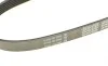 Ремінь генератора Citroen C2/C3 1.4HDi 02-/C4/Peugeot 206 CC/207/307 1.6HDi 03-15 DAYCO 6PK780 (фото 2)