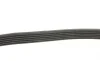 Ремінь генератора Citroen C2/C3 1.4HDi 02-/C4/Peugeot 206 CC/207/307 1.6HDi 03-15 DAYCO 6PK780 (фото 3)