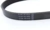 Ремінь генератора Citroen C1/Peugeot 107/Toyota Aygo 1.0 i 05-14 DAYCO 6PK850 (фото 3)