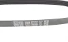 Ремінь генератора Citroen C1/Peugeot 107/Toyota Aygo 1.0 i 05-14 DAYCO 6PK850 (фото 4)