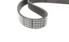 Ремінь генератора Citroen Jumper/Peugeot Boxer 2.8D 99-02 DAYCO 6PK910 (фото 2)