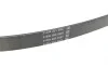 Ремень генератора Citroen Jumper/Peugeot Boxer 2.5D/TDI 94-02 AC /2.5D -95 DAYCO 6PK915 (фото 3)