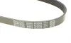 Ремень генератора VW T4/Caddy 1.9TDI DAYCO 6PK923 (фото 4)