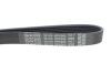 Ремень генератора Toyota Corolla/Auris/Yaris 1.4 D 04-14 DAYCO 6PK966 (фото 4)