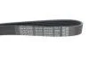 Ремень генератора Toyota Corolla/Auris/Yaris 1.4 D 04-14 DAYCO 6PK966 (фото 4)