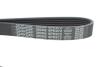 Ремень генератора Mazda 6/CX-5 2.5 13- DAYCO 6PK972 (фото 4)